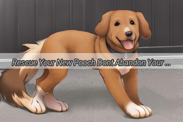 Rescue Your New Pooch Dont Abandon Your Furry Friend